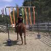 Barrel Racing/gymkhana training