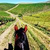 Trail riding